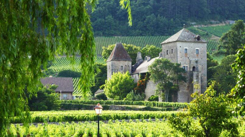 Top Vineyard Areas In Burgundy
